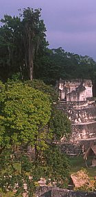 Tikal